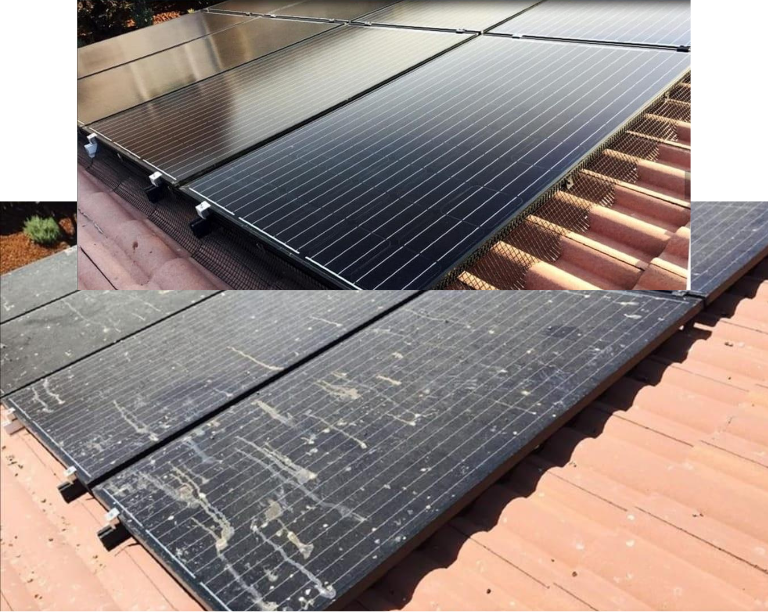 Clean Sunny limpieza