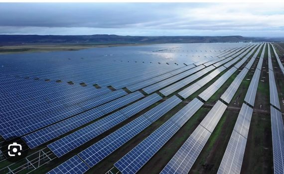 Limpieza campos solares